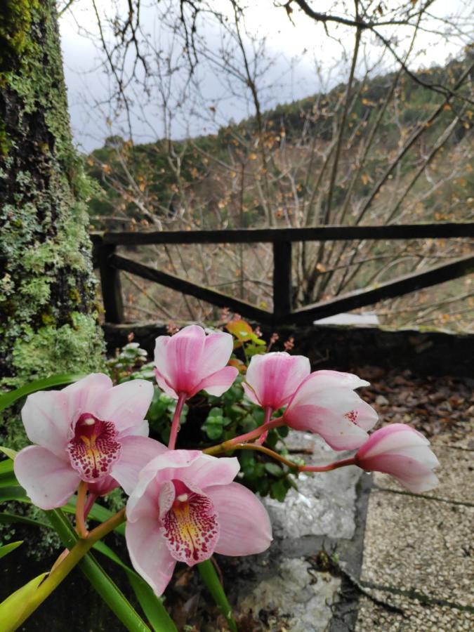 Casa Em Xisto Na Serra Da Lousa, Gondramaz Bagian luar foto